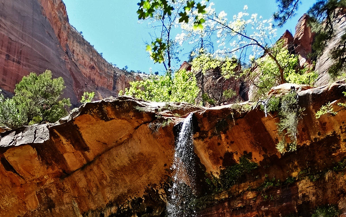Middle Emerald Pools Trail At Zion National Park Projected To Reopen Late 2019 The Independent