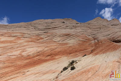 Hiking Southern Utah Yant Flat