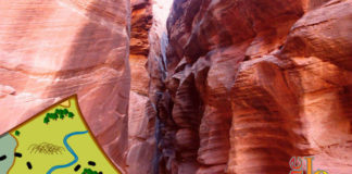 Hiking Southern Utah: Wire Pass Narrows
