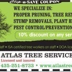 Deal of the Day: 10 percent off with Atlas Tree Service