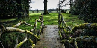 Bridge to Terabithia and Fiddler on the Roof open at Brighams Playhouse