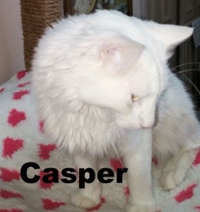 Casper-01