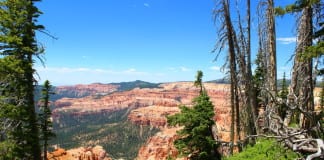 Iron County Sheriff’s Office seeks help in theft case