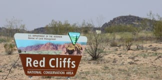 The Ghost Highway: The battle for the Northern Corridor, a conclusion Northern Corridor Mojave Desert tortoise