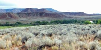 Voter referendum blocking Virgin rezoning affirmed by Fifth District Court Voter referendum blocking Virgin rezoning affirmed by Fifth District Court