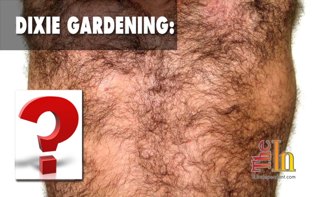 Dixie Gardening!? How to grow back hair!?