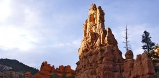 Message from the Springdale Mayor Message from the Springdale Mayor