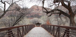 Three Hikers Killed in Zion National Park Flooding – Four Missing Three Hikers Killed Zion National Park