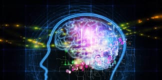 Corner on the Brain: Neuropsychology and you Pediatric neuropsychology st. george