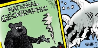CARTOON: ‘Fox Buys National Geographic’ Cartoon Rupert Murdoch Fox Buys National Geographic