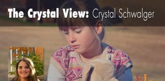 The Indy Top Ten of 2015: Features