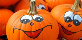 Cedar City Pumpkin Festival raises funds for Women in Business scholarship fund Cedar City Pumpkin Festival