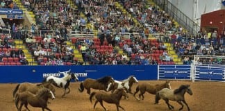 Dixie Round-up Rodeo protest planned for today Dixie Round-up Rodeo protest