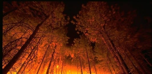 Fire Burning Pine Valley Ranger District