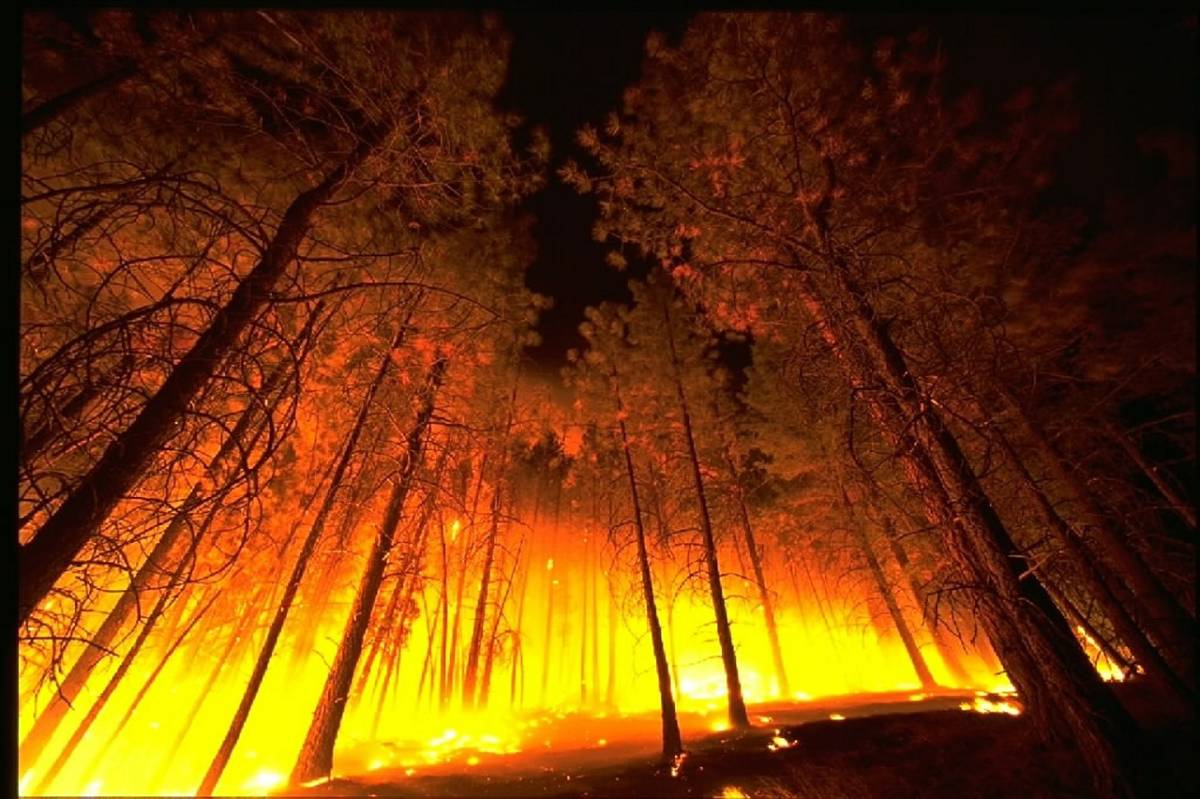 Fire Burning Pine Valley Ranger District