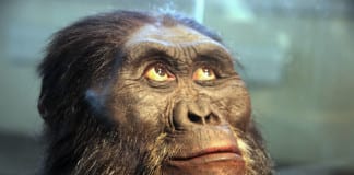 Cedar City Library hosts “Exploring Human Origins” Cedar City Library Exploring Human Origins