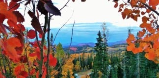 Check out southern Utah fall colors and enter The Indy’s photo contest Southern Utah Fall Colors