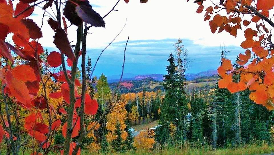 Southern Utah Fall Colors