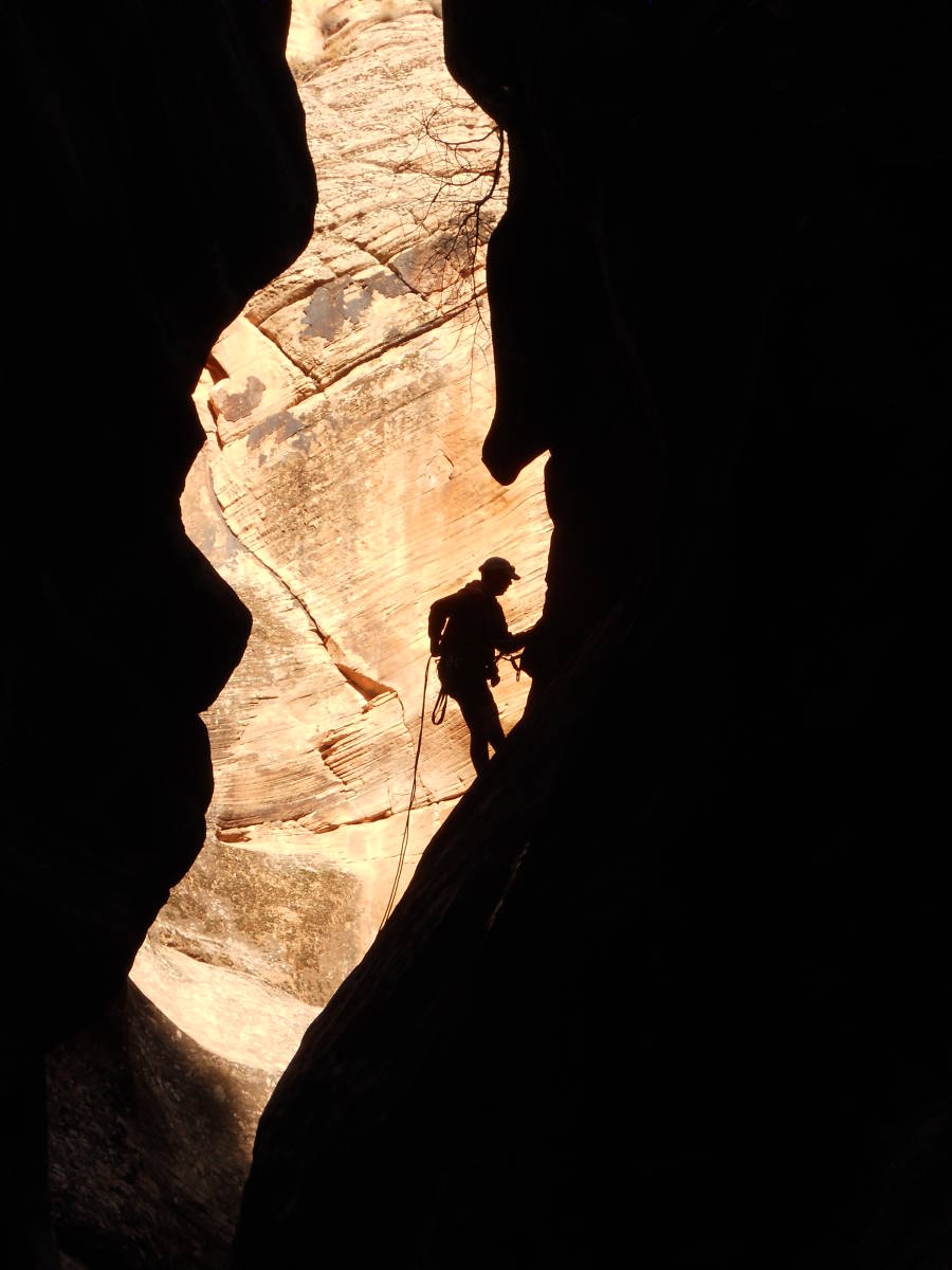 Guiding in Zion National Park
