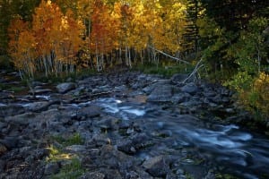 fall in southern Utah Brian Head