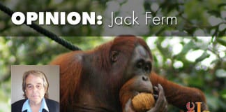 Evolution or creationism? Evolution or creationism