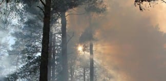 Peace on Paper: The bigger picture, loneliness, and solitude loneliness solitude