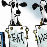 Mormons say not to eat meat