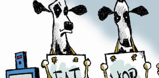 CARTOON: ‘Meat Kills’ meat kills cancer