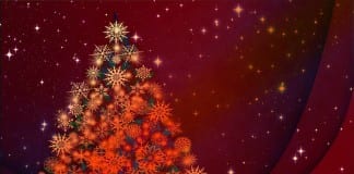 Hurricane Valley presents Festival of the Trees Hurricane Valley Festival of the Trees