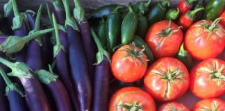 Zion Canyon Farmers Market concludes 2015 season Zion Canyon Farmers Market concludes 2015 season