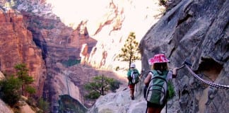 Zion National Park anticipating large crowds over UEA weekend