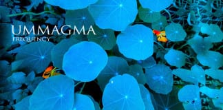 Ummagma ‘Frequency’ gets U.S. release via Moon Sounds Records Ummagma Frequency