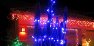 Coming Down the Pike: December in St. George Coming Down the Pike