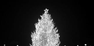 Downtown Christmas Village Downtown Christmas Village