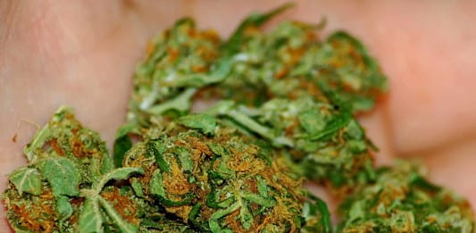 Marijuana legalization