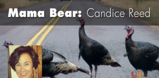 The nontraditional Thanksgiving