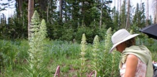 Arts to Zion art and studio tour returns for fifth year Arts to Zion