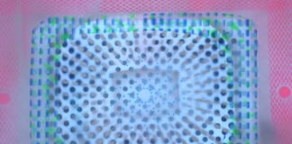 Interview: Chip Chapman discusses upcoming art exhibit, ‘May Cause Dizziness’ Interview Chip Chapman art exhibit May Cause Dizziness