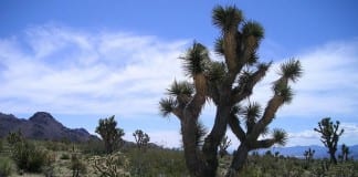 Interagency’s free Brown Bag Lecture Series continues in December Brown Bag Lecture Series