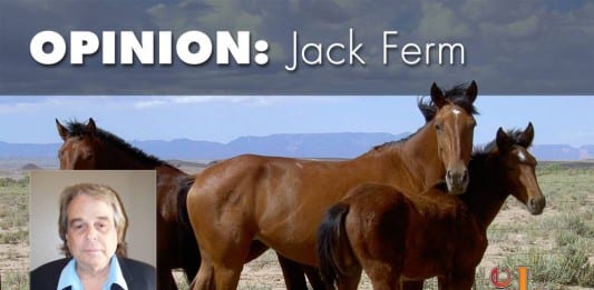 BLM wild horse roundup