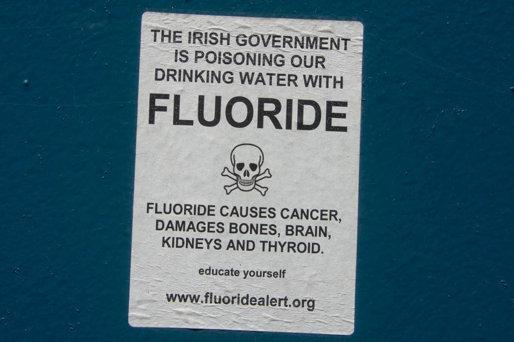 hidden fluoride study