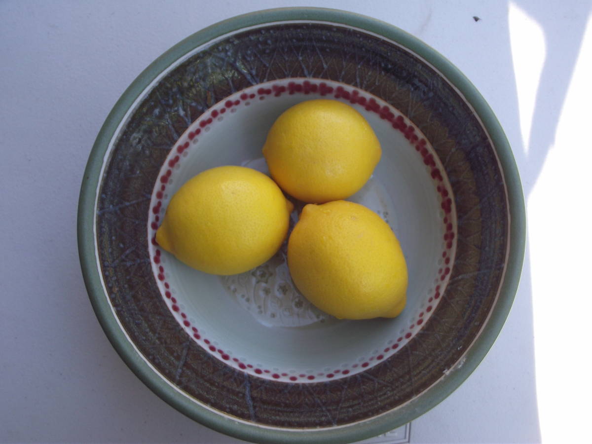 growing citrus in southern Utah