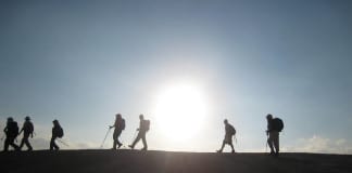 Surgery From the Other Side of the Scalpel First Day Hikes Utah