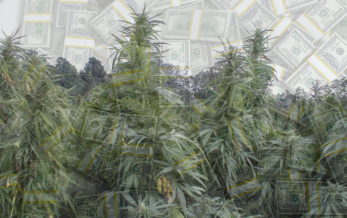 Marijuana legal financial questions