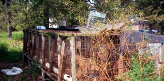 Evidence surfaces linking St. George pet store to puppy mill conditions A puppy mill in the rural United States
