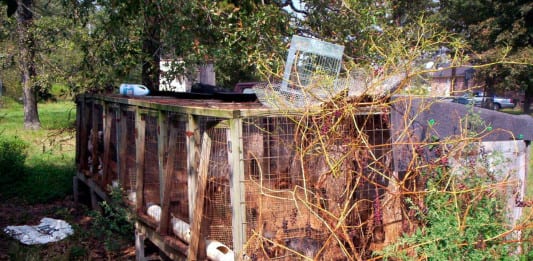 A puppy mill in the rural United States