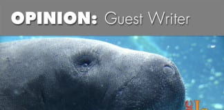 Florida Manatee Sanctuary Act and manatees’ future far from certain Florida Manatee Sanctuary Act