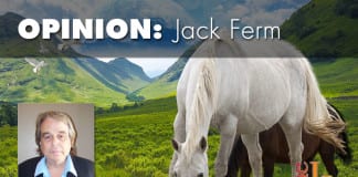 It’s time to dismantle the BLM, a criminal enterprise dismantle the BLM