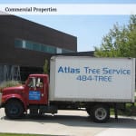 Tree Removal Utah | 10 percent off at Atlas Tree Service in September
