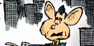 CARTOON: “Wanna Buy A Watch?” cartoon Claytoonz Clay Jones Wanna Buy A Watch